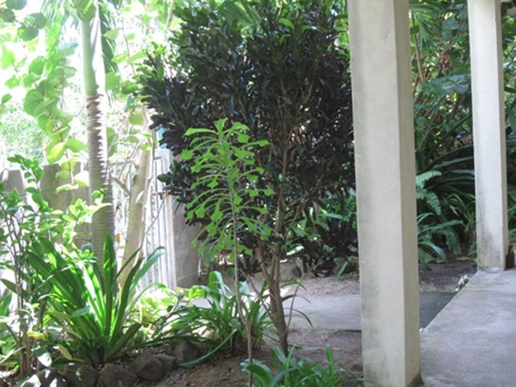 Culture House Hotel Basseterre Exterior foto