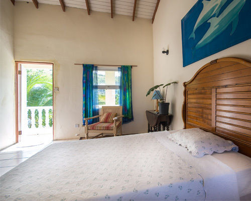 Culture House Hotel Basseterre Exterior foto